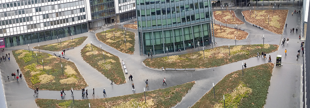 une création dufaymandre paysage à Jussieu université